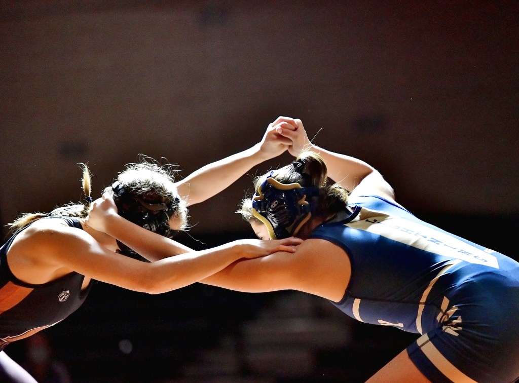 Generic girls wrestling