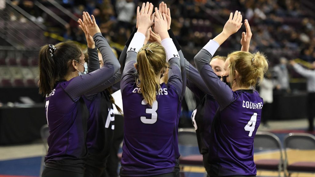 Sedgwick County girls volleyball 2020