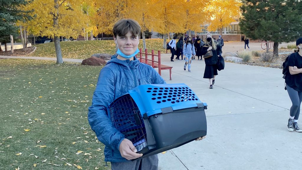 Durango dress-up days