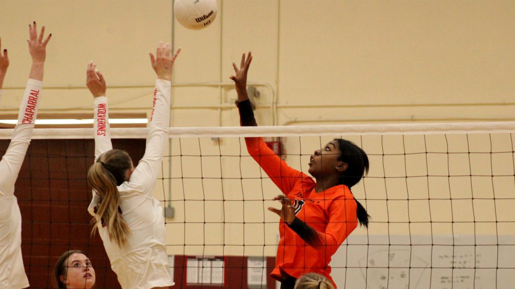 Lewis-Palmer girls volleyball