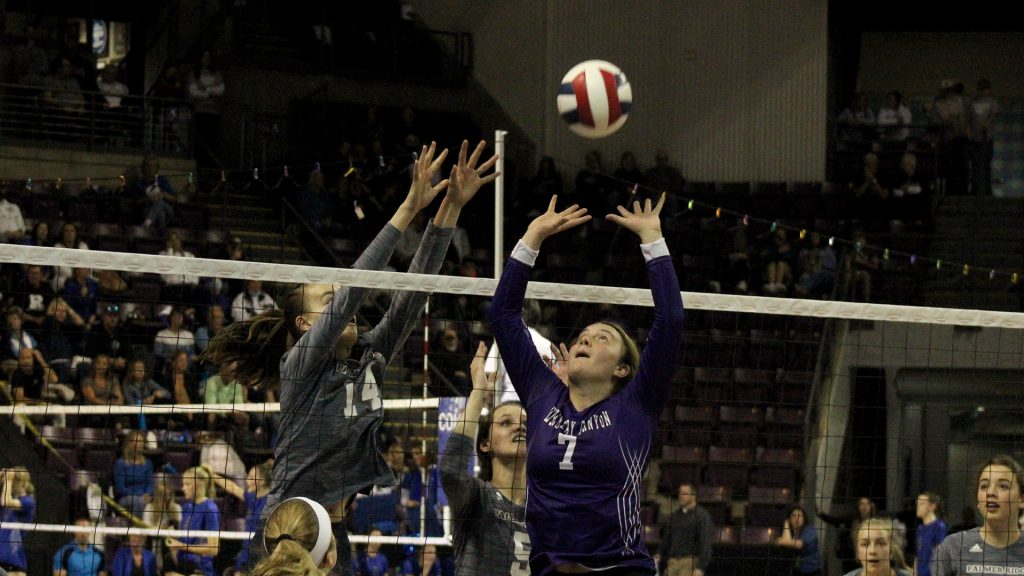 Palmer Ridge Discovery Canyon girls volleyball
