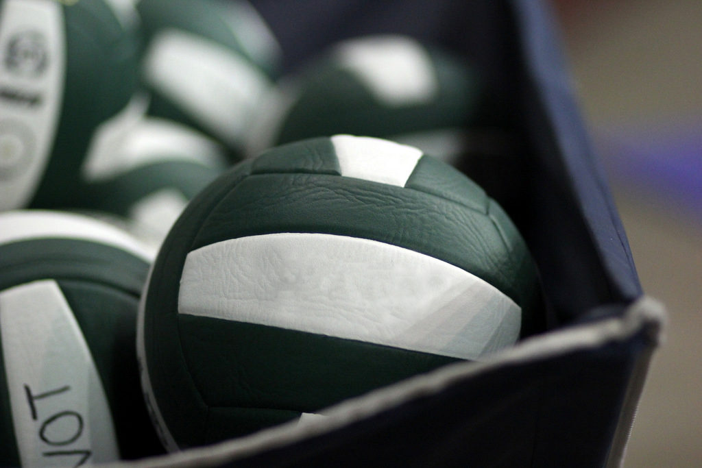 State volleyball generic