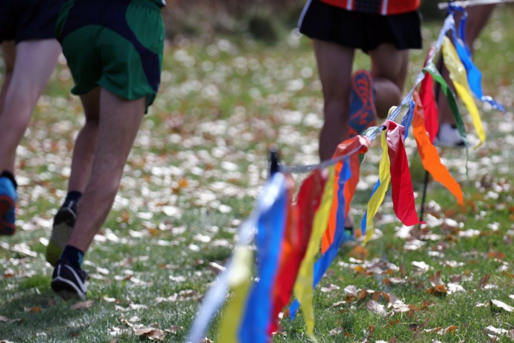 cross country generic