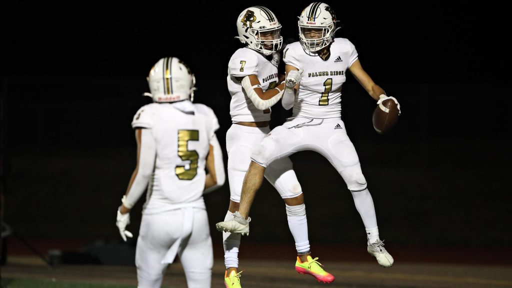 Palmer Ridge FB 2022