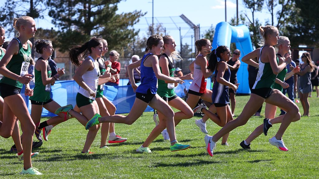 Dave Sanders cross country