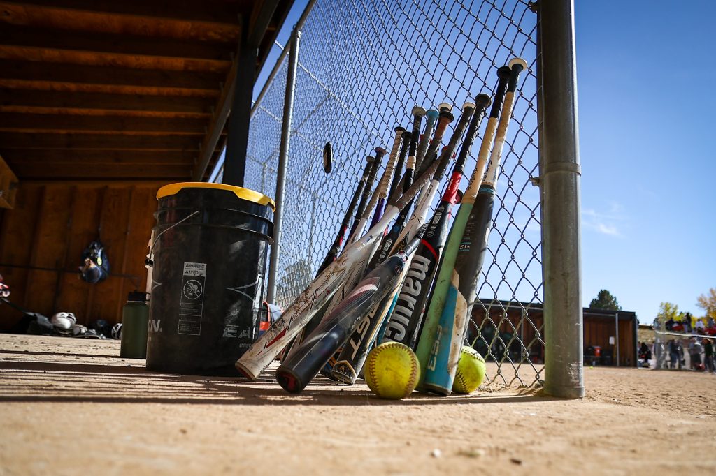 Generic softball 2022 bats