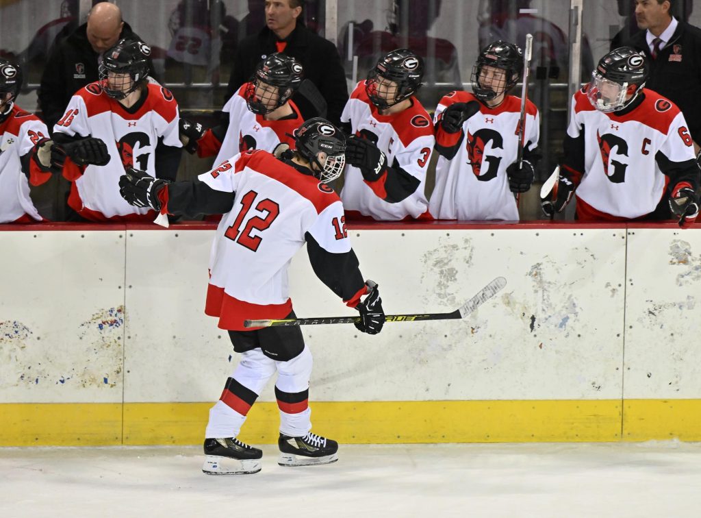 Glenwood hockey 2023 playoffs