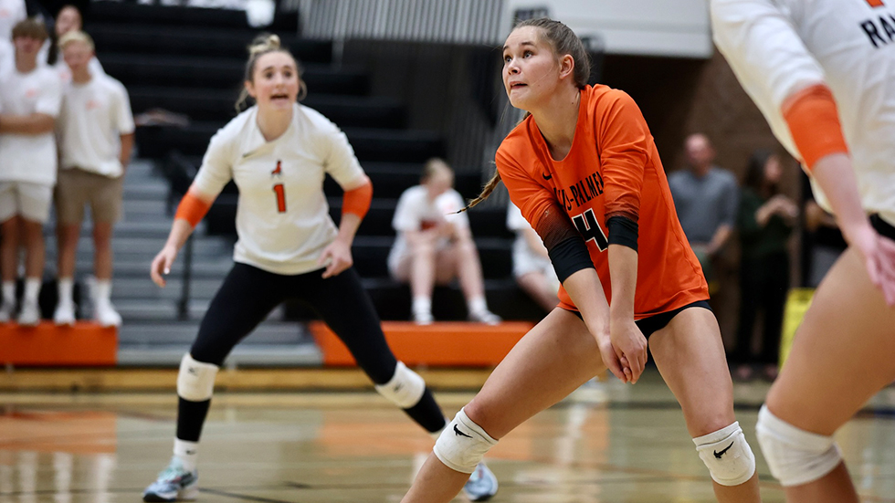 Lewis Palmer Volleyball