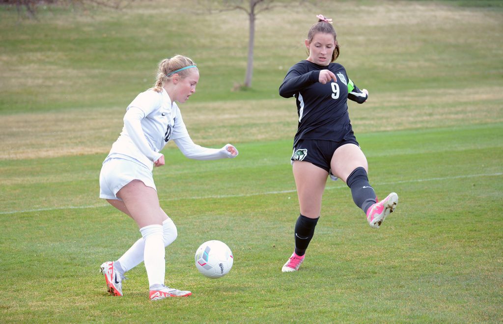 Girls Soccer: Lakewood vs D'Evelyn