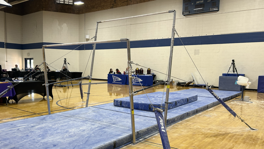 Generic gymnastics bars