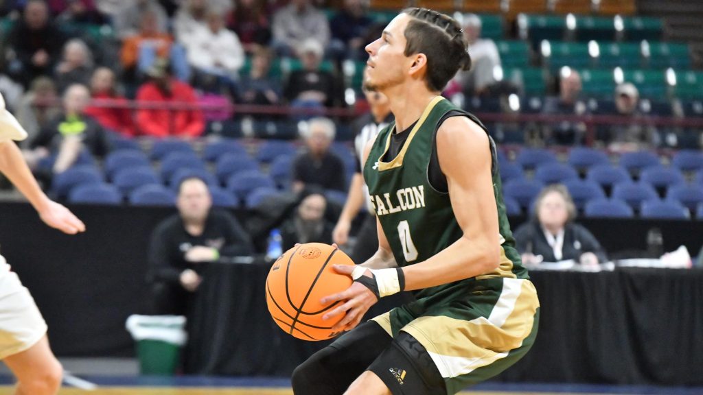 Falcon boys basketball player prepares to shoot