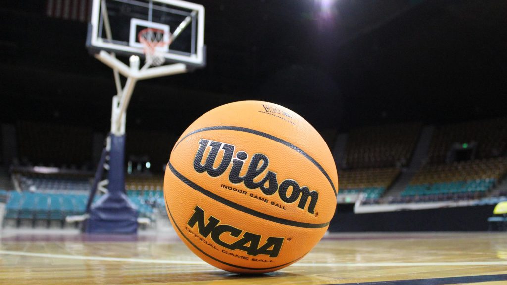 Wilson Basketball Denver Coliseum Generic