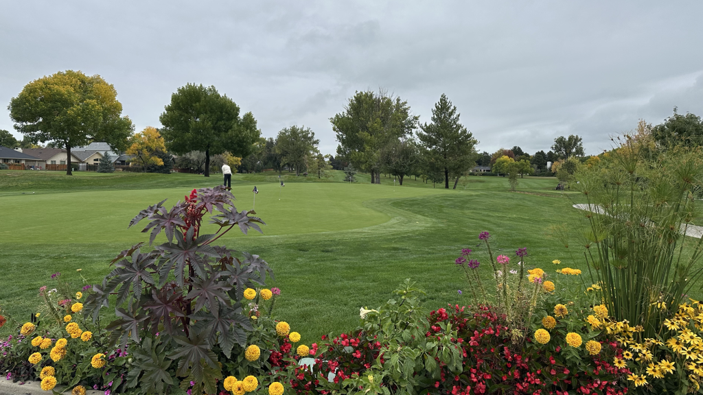 4A Golf in Longmont