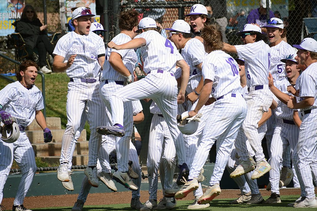 Baseball: Day 1 state at All-Star Park